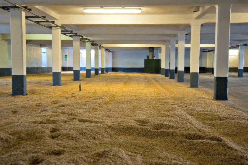 Whisky-Malting