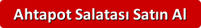 ahtapot-salatasi-satin-al
