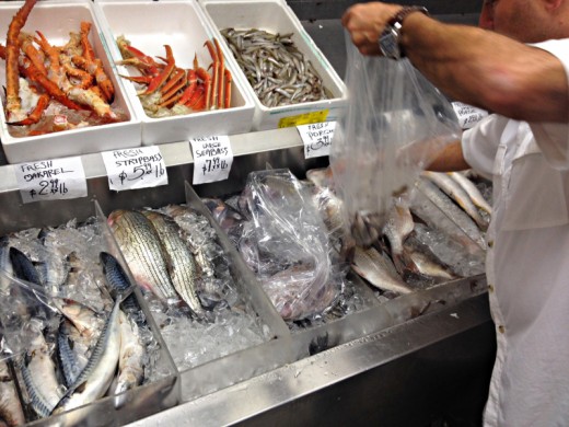 astoria-seafood-spyro-chriss-queens-new-york-hand-picked-fishes