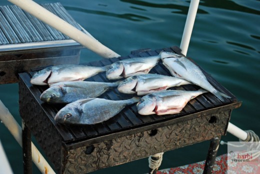 Izgara Balık, Dolunayda Tekne Turu, Dalyan, Muğla