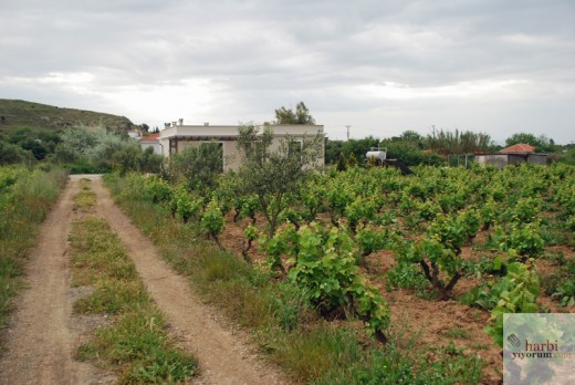irmak-bag-evi-pansiyon-bozcaada