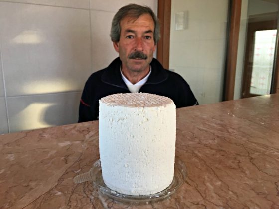 Avutro - Cunda Mandırası, Saltık Mandıra