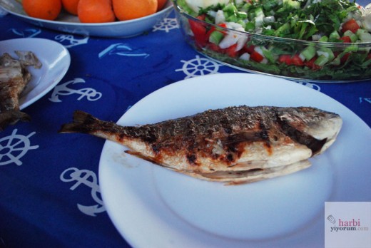 Izgara Çipura, Dalyan Dolunay Tekne Turu
