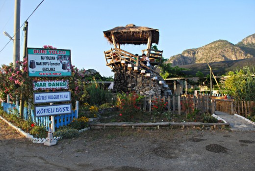 nar-suyu-nar-danesi-iztuzu-plaji-dalyan-mugla-01