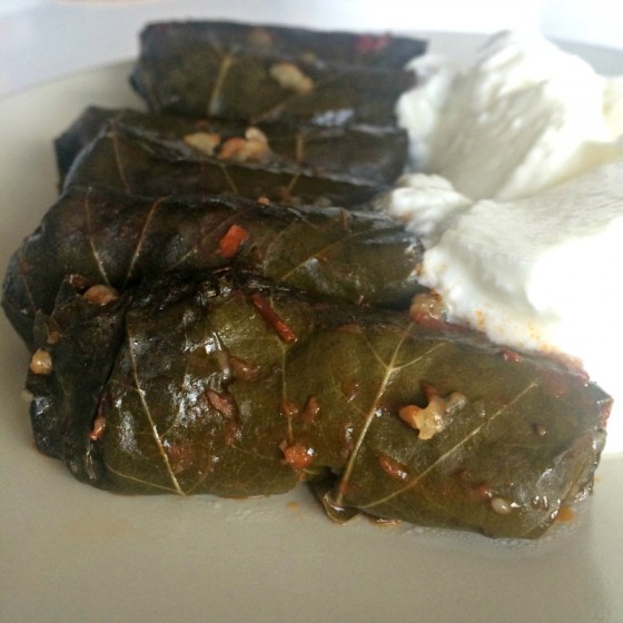 yaprak-sarma-ve-yogurt-meal-box