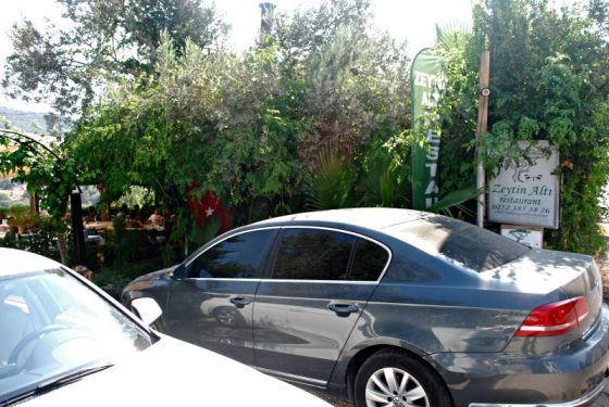 Zeytin Altı, Yalıkavak, Bodrum