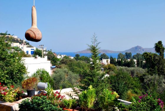 Zeytin Altı, Yalı Kavak, Bodrum