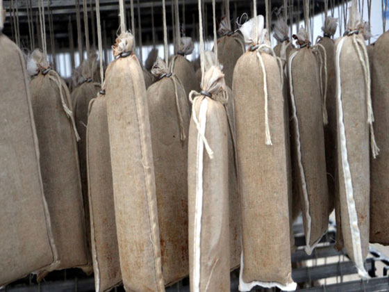 Tokat'ta geleneksel yöntemlerle yapılan bez sucuk kurutulurken