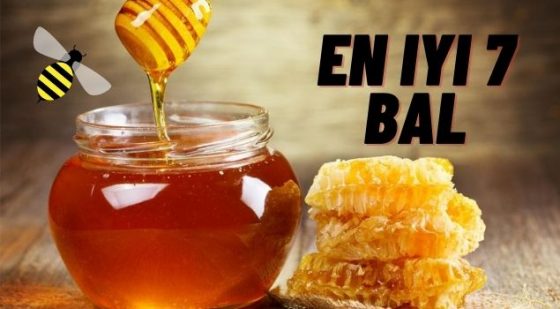 türkiyenin en iyi bali