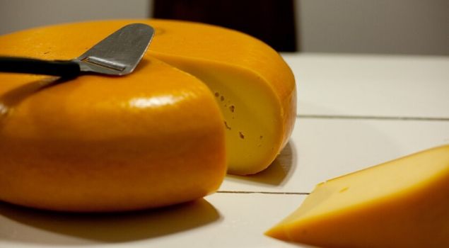 gouda peyniri