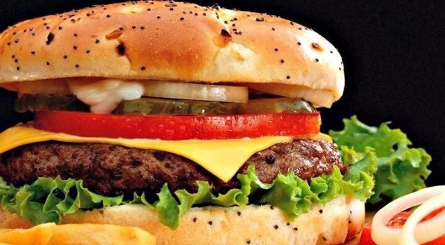 hamburger nedir
