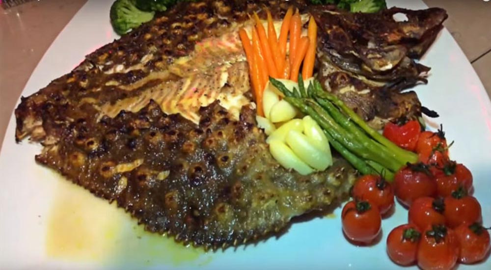 Muhteşem dev ızgara kalkan