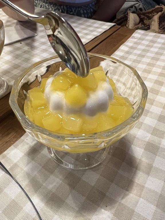 Hindistan cevizi sütlü panna cotta üzerinde mango sosu