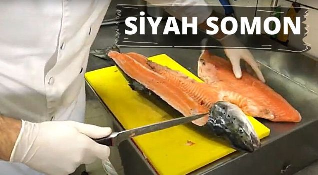 siyah somon balığı