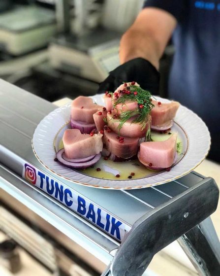 Tunç Balık Beyoğlu