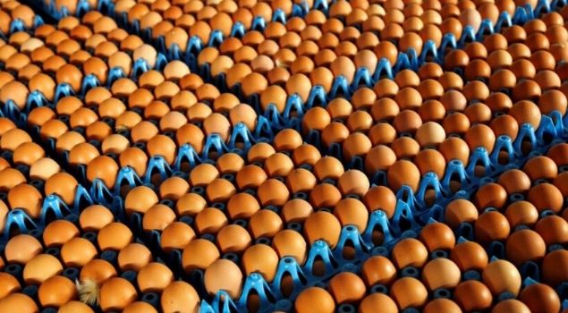 yumurta nasıl tüketilir